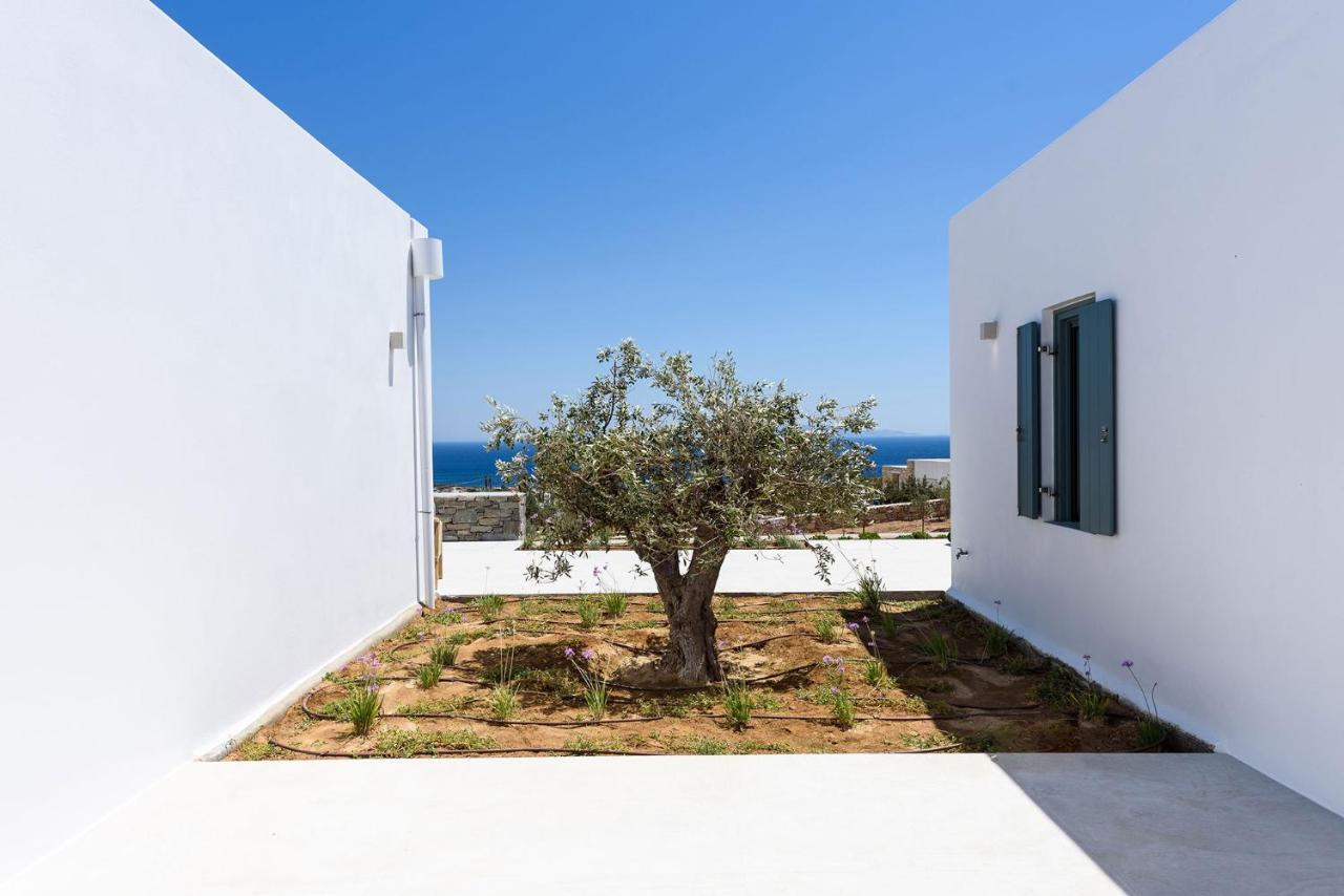 Villa Complex White And Rocks Páros Exteriér fotografie